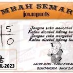 jowopools-2023-04-29