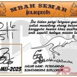 jowopools-2023-05-24